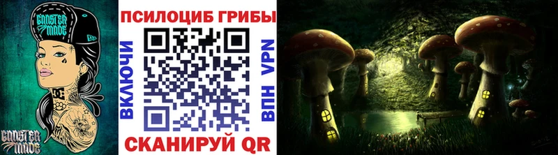 наркошоп  кракен ССЫЛКА  Галлюциногенные грибы Psilocybe  Шахты 